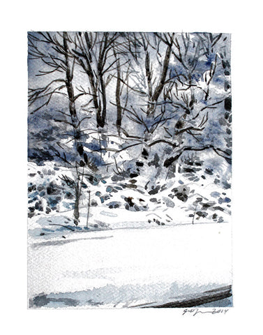 Winter in the Woods