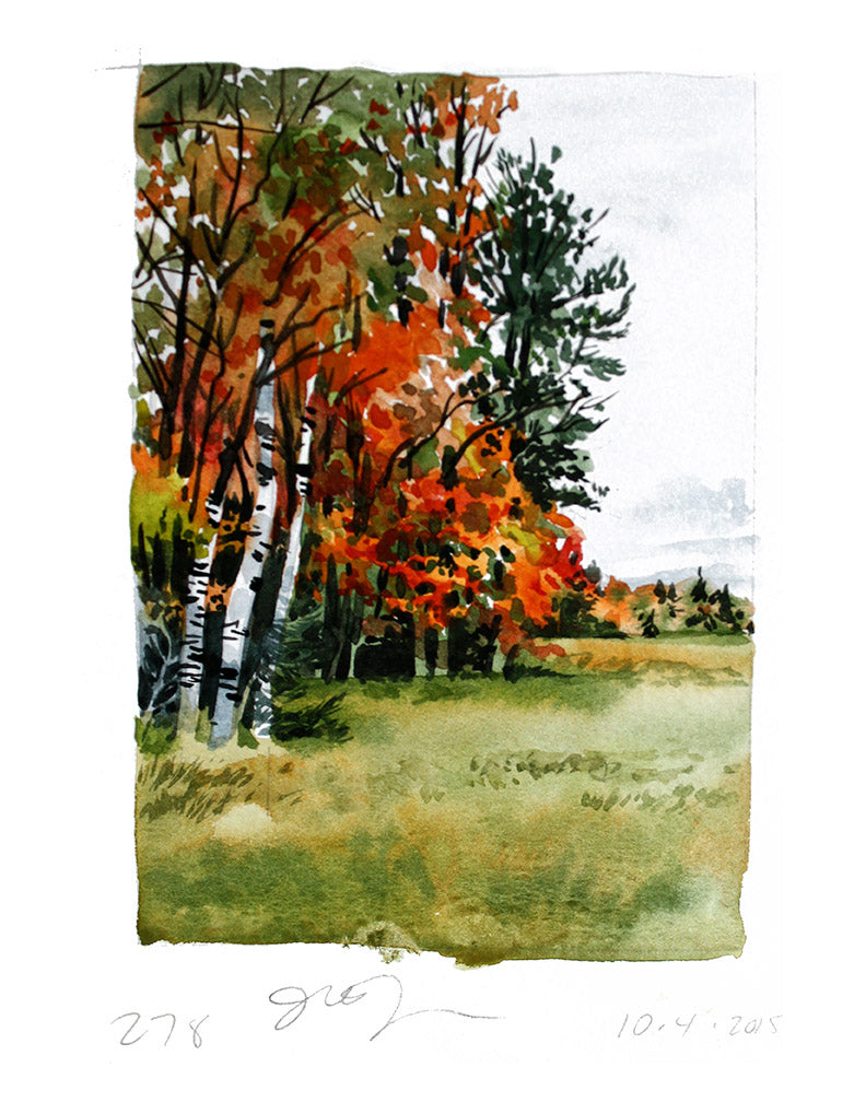 Treeline in the Fall