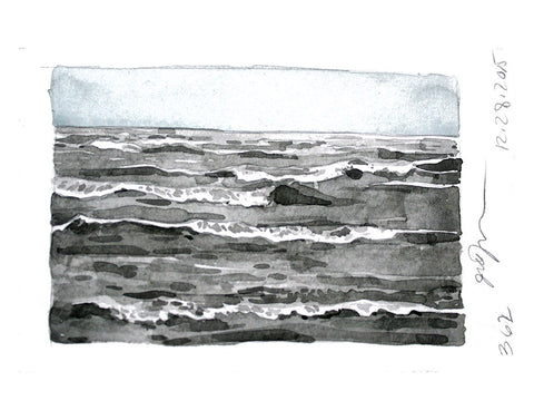 Waves Coming In