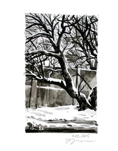 Winter Trees