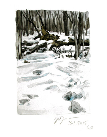 Winter in the Woods 2